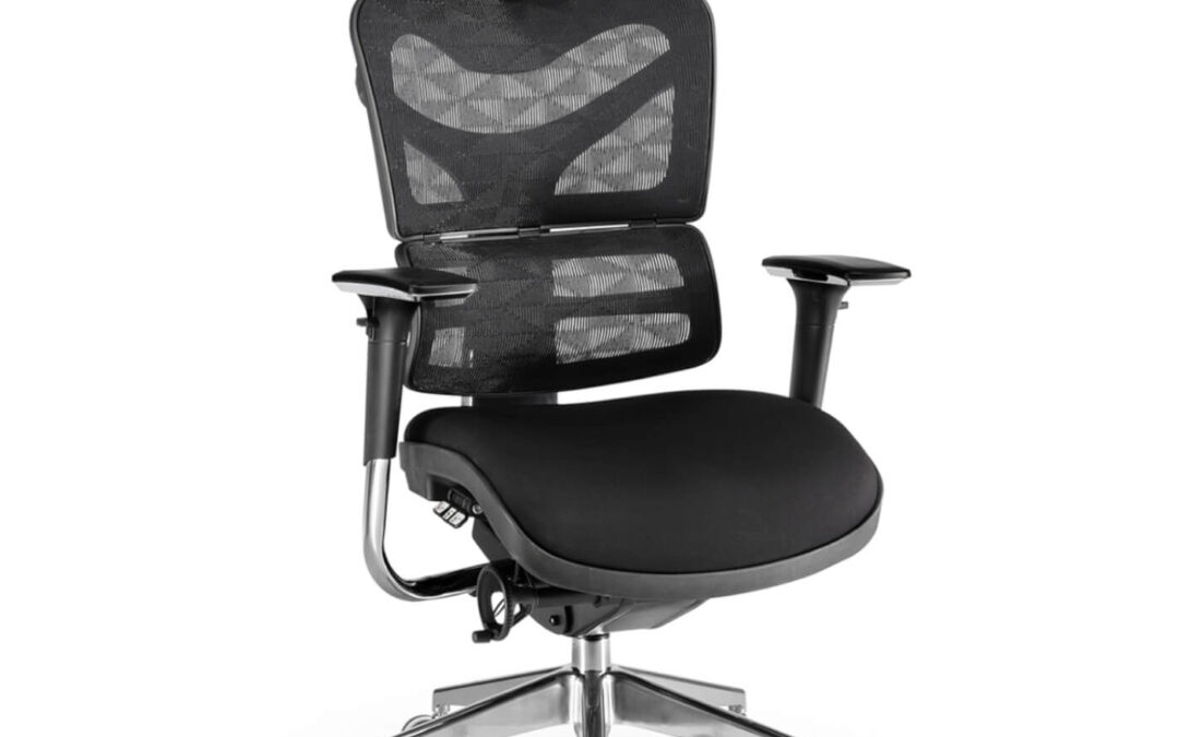 SILLA NEW ERGOSTONE