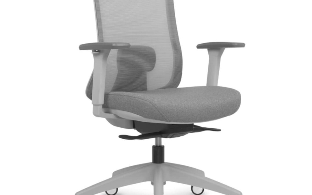 SILLA ERGONÓMICA LANDO