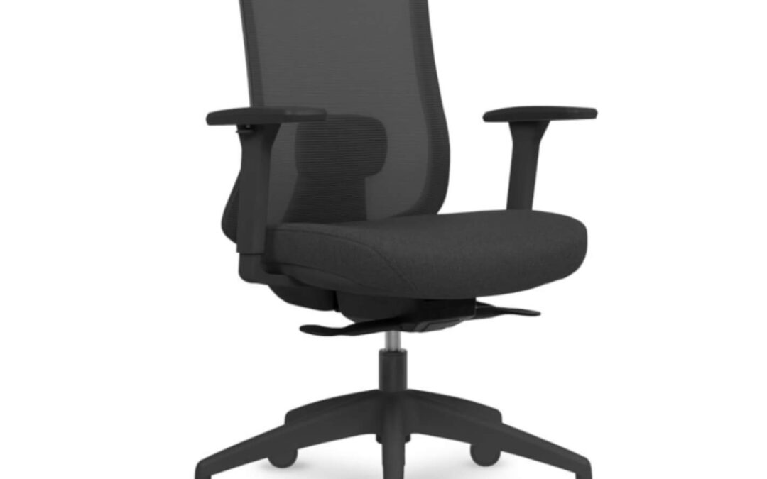 SILLA ERGONÓMICA LANDO BLACK